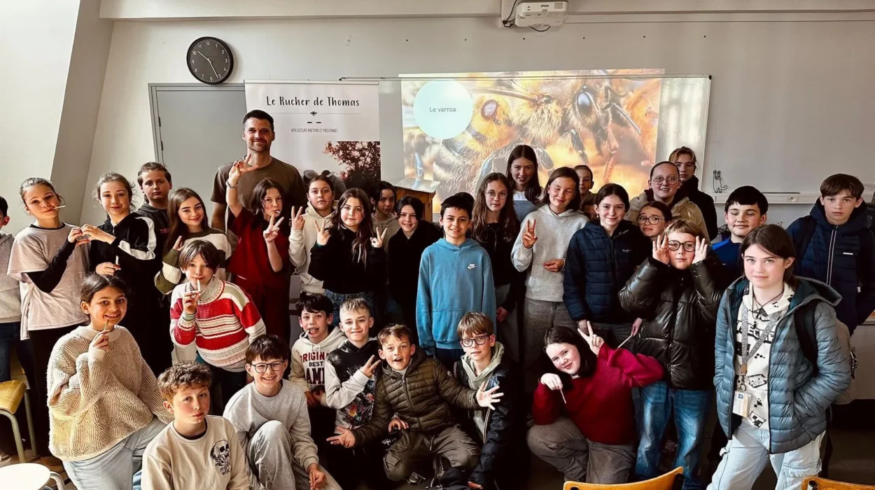 Animation dans une école par Abellia en Bretagne